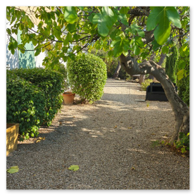Jardin